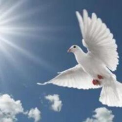 Piper Alissa Schulze