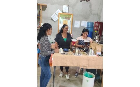 Honduras Coffee Workers