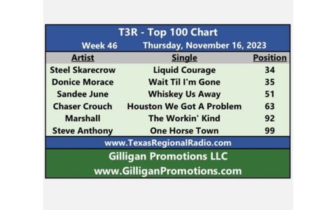 Steel Skarecrow at 34 on teh T3r Chart (1)