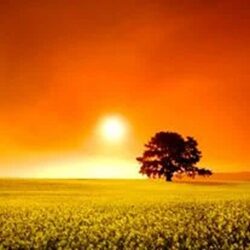 William Dean Kaempfe