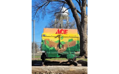 Salt & Art RCCF Lyons Collaboration