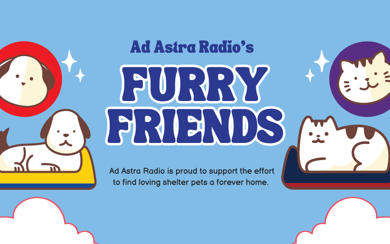 Ad Astra Furry Friends without info button