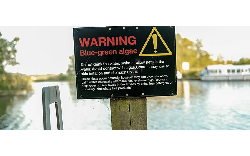 Blue-Green Algae Showing Up Early in Kansas Waterways