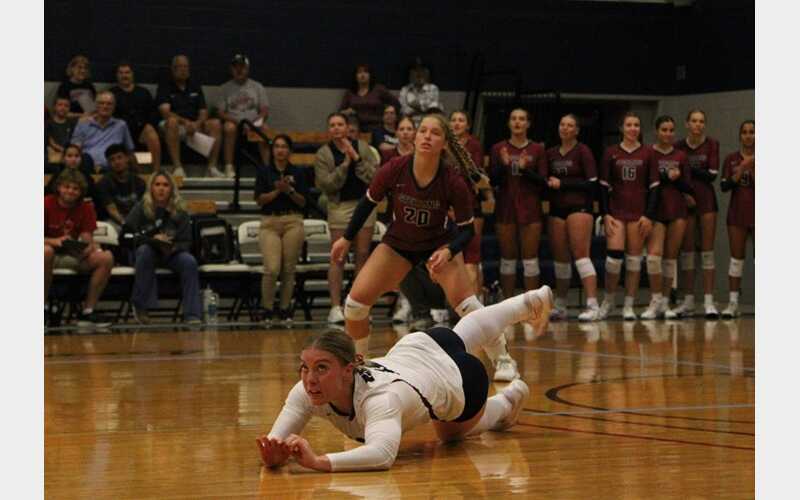 Linden Leads in Back Row, Volleyball Warriors Lose to Falcons