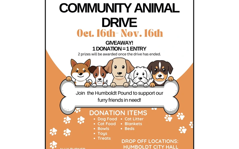Social Work Student Seeking Animal Item Donations for Humboldt City Pound