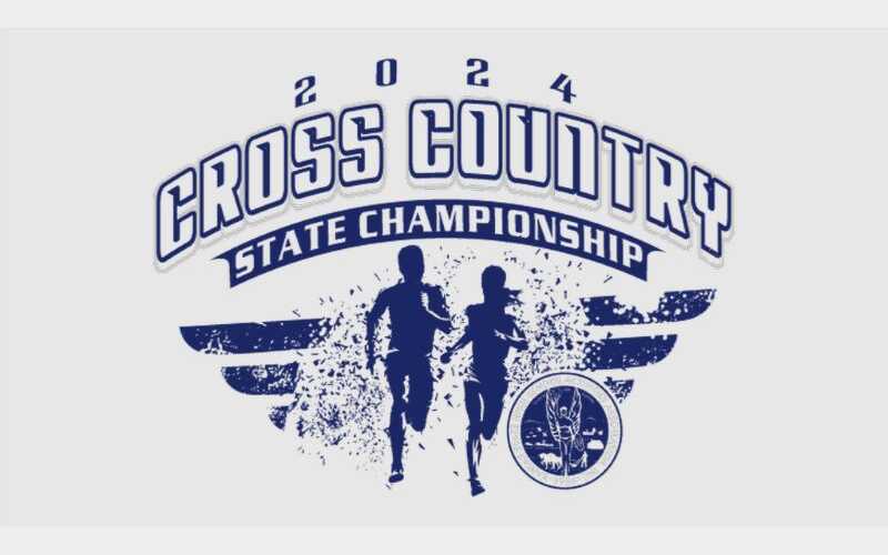 Seven Area Schools Claim Cross Country Regional Titles; Multiple Individuals Qualify for State