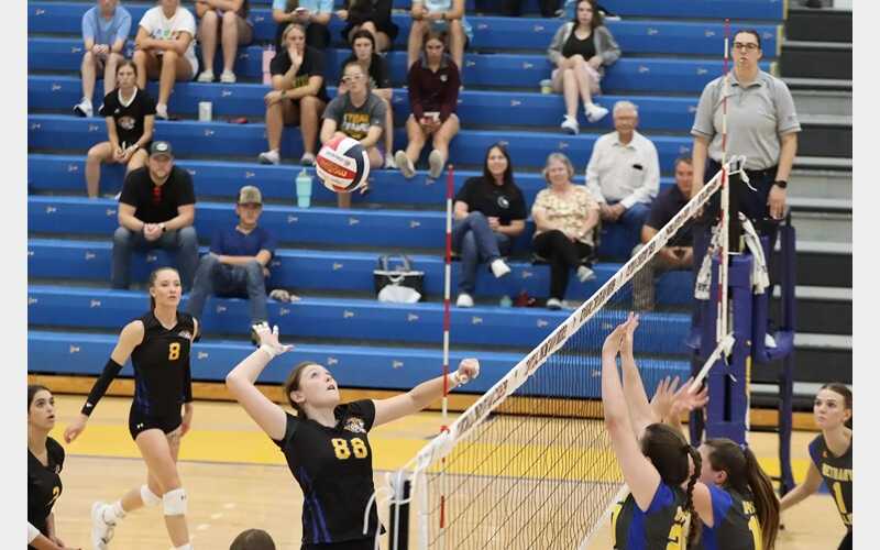 Volleyball Tigers Fight Hard but Fall to Aggies and Pioneers