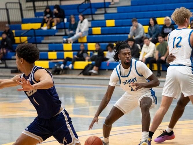 Bench Depth Key to Swedes’ Win over Panthers