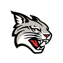 Davidson Wildcats