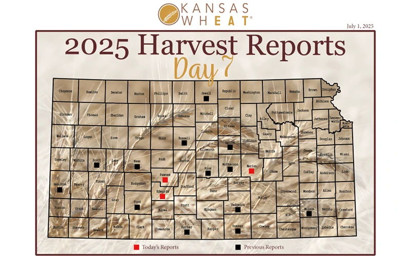 Day 7, Kansas Wheat Harvest Report