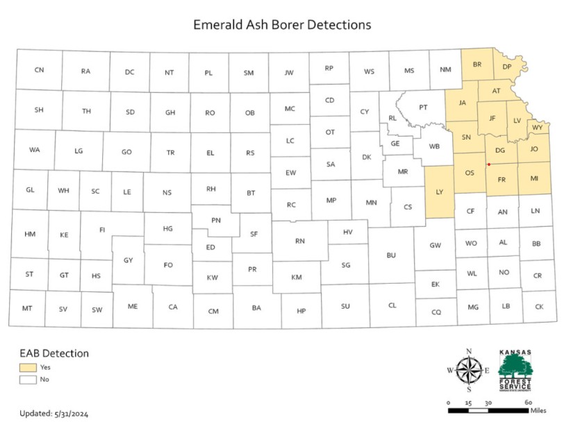 Emerald Ash Border Confirmed in Bourbon County