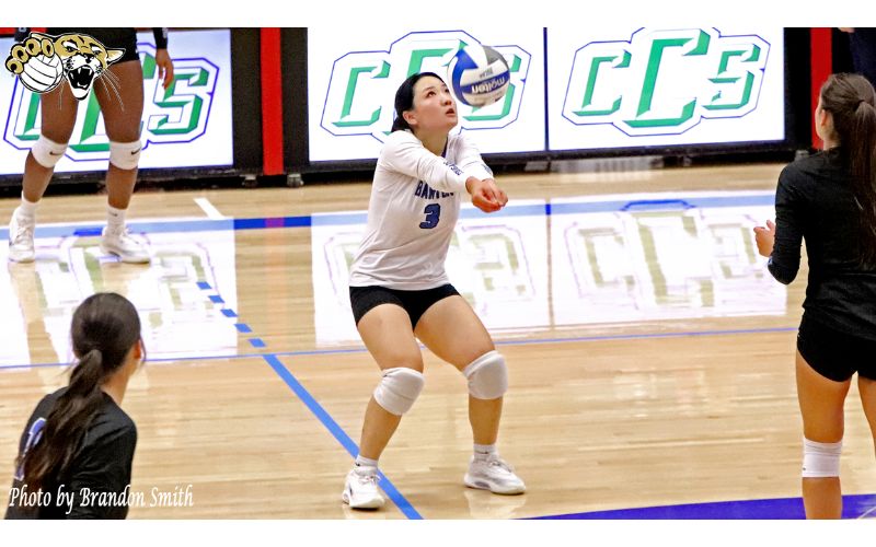 3rd ranked Cougars split results at Sheila Worley Tournament