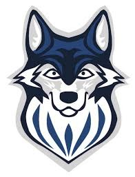 Metropolitan CC Wolves