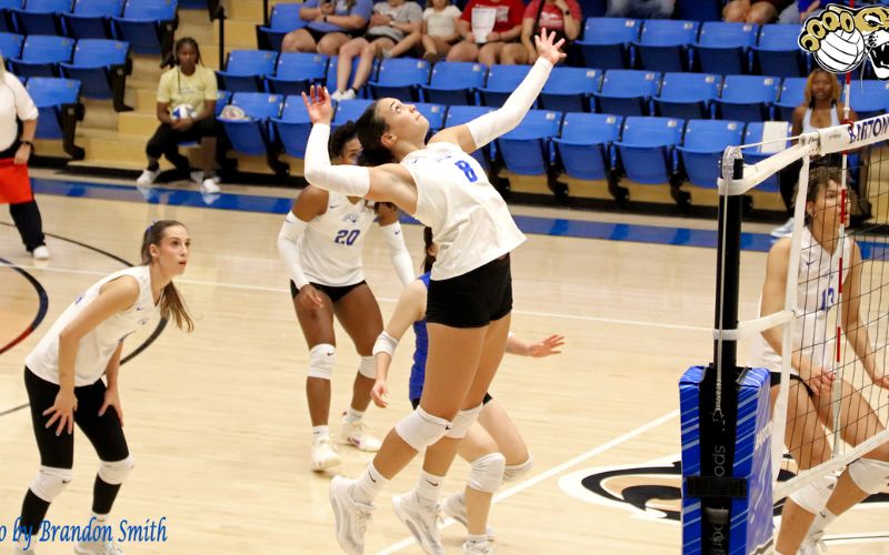 12th ranked Cougars Volleyball survive fifth set holding off Blue Dragons’ upset bid