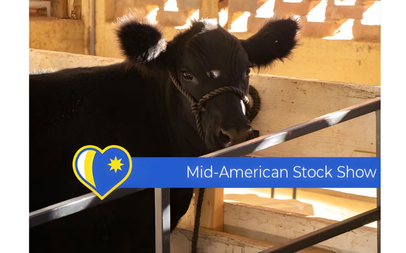 2025 Mid-American Stock Show