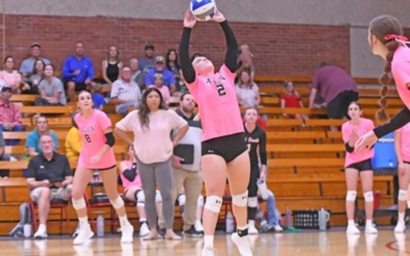 Red Devils Volleyball return to form in Fort Scott