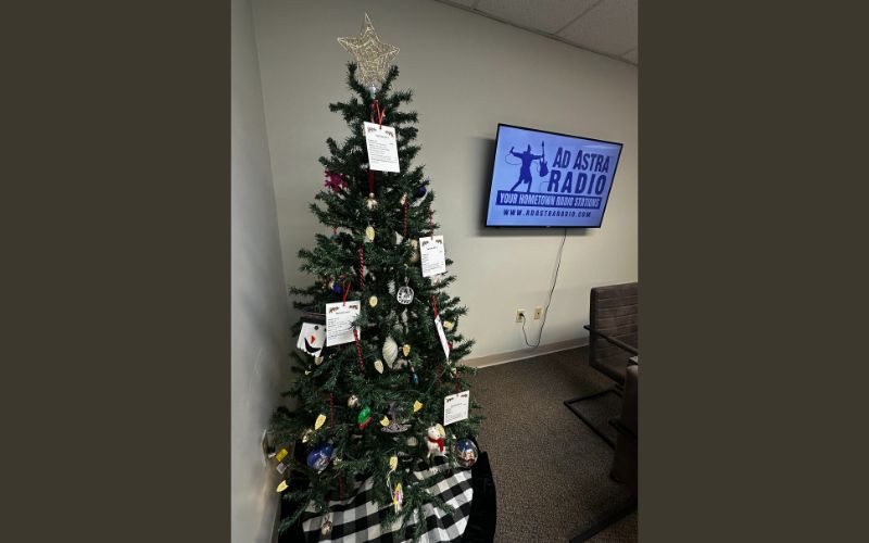 Help Make the Season Bright for Local Families