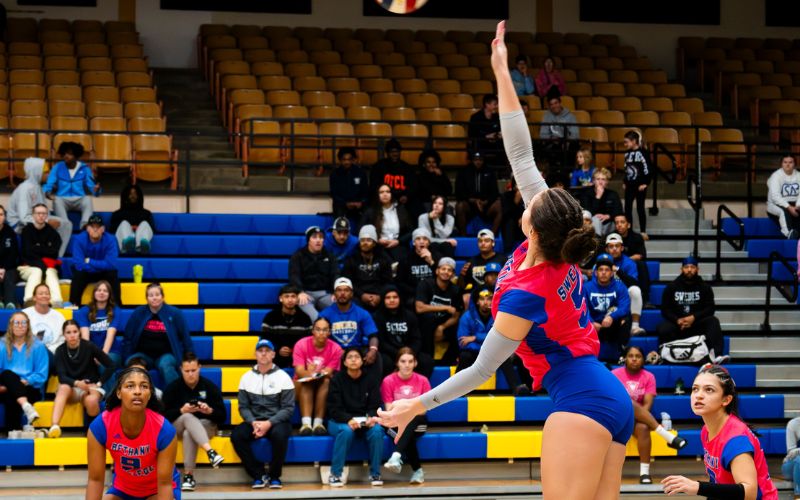 Swedes Volleyball Sweep Avila on Senior Day, Close season on four-game win streak