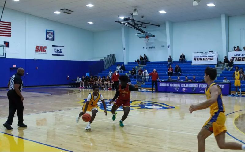 Tigers Rally Late but Fall Short at Nelson University