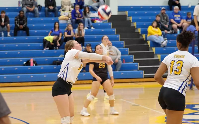 Tigers Volleyball Fall to Lions on Senior Day