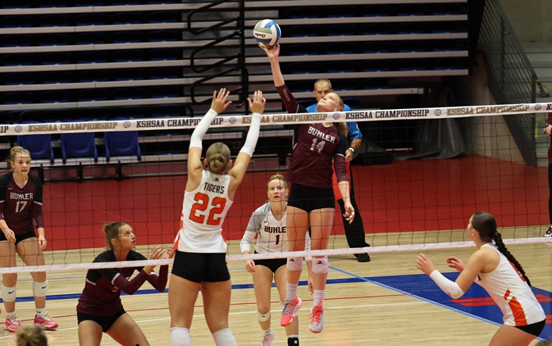 Area Volleyball Players Named to KVA Squad