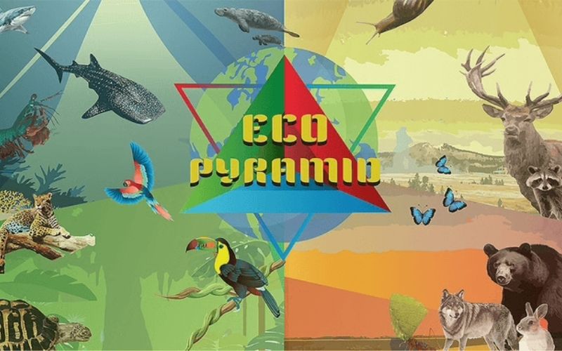 Students Launch National Campaign Supporting Class-Designed Game