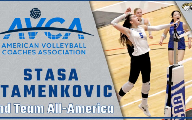 Barton’s Stamenkovic adds AVCA honor to standout freshman season