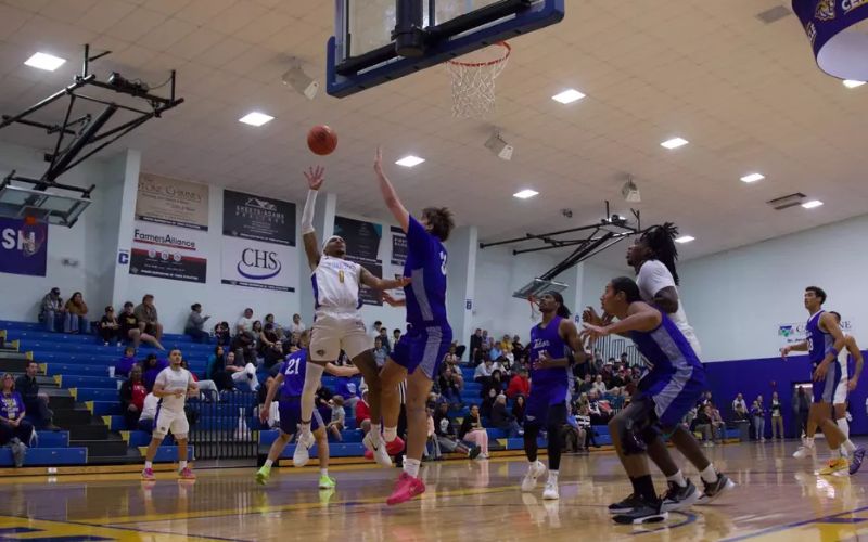 Tiger Men Battle, But Pioneers Pull Away Late