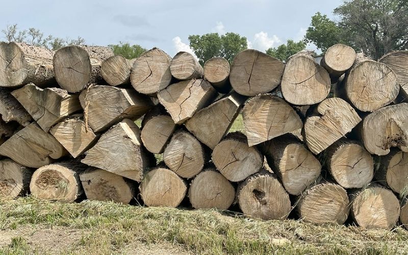 Buying Firewood? Knowing Heat Values Could Aid Your Choice