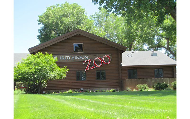 Nights Before Christmas