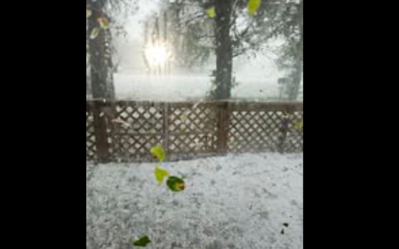 Christine Lamastus 426