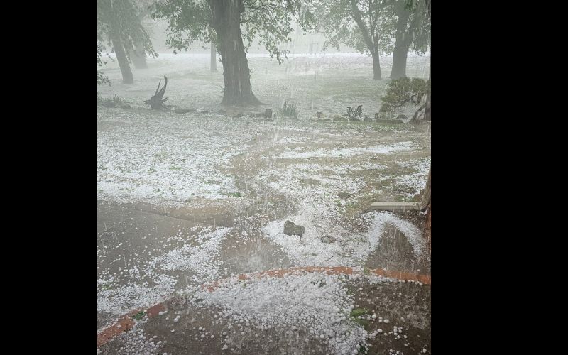 Shad Marston Canton 426