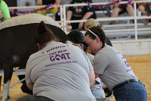 Reno County Dispatch Milks their Goat