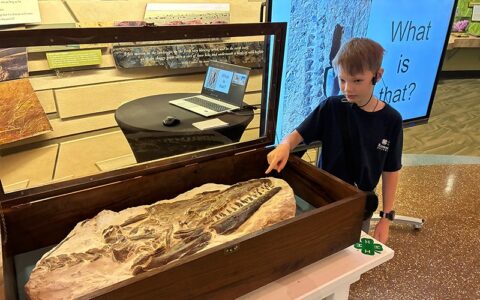 Bullard displayed his fossil discovery at the Flint Hills Discovery Center. 